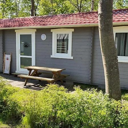 & Intercamp'84 3*