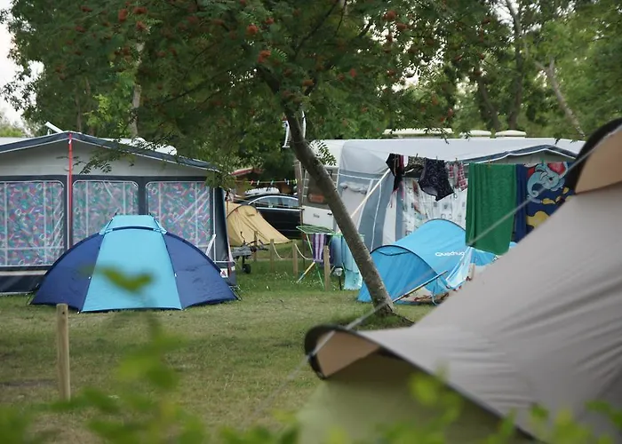 Kamp alanı & Intercamp'84