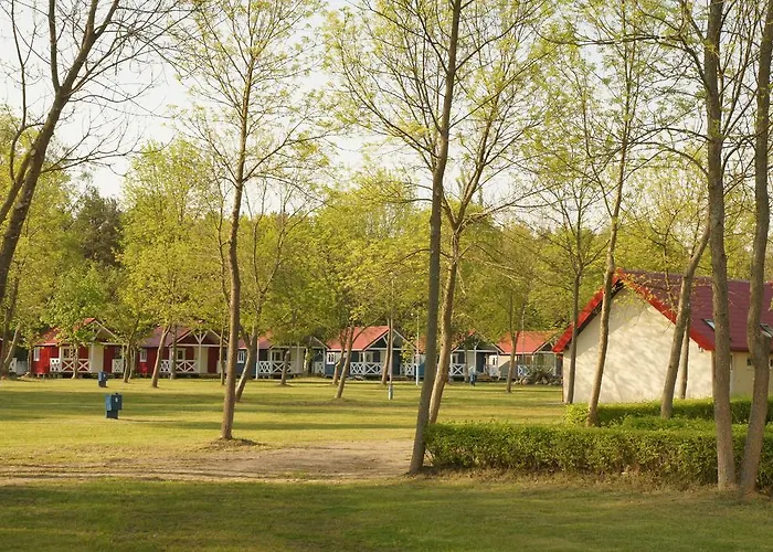 & Intercamp'84 Kamp alanı