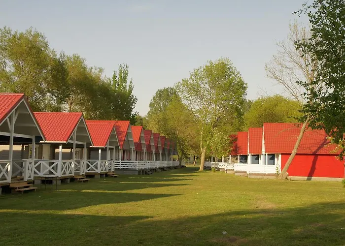 & Intercamp'84 Kamp alanı 3*