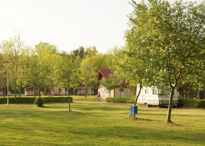 Kamp alanı & Intercamp'84 Łeba